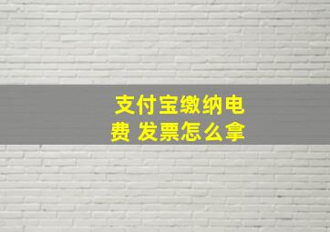 支付宝缴纳电费 发票怎么拿